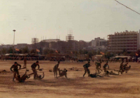 COE-21-TABLA-DE-COMBATE-EXHIBICIONES-103