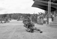 COE-21-TABLA-DE-COMBATE-EXHIBICIONES-49