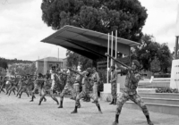 COE-21-TABLA-DE-COMBATE-EXHIBICIONES-53