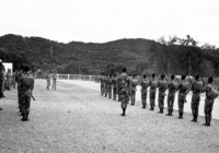 COE-21-TABLA-DE-COMBATE-EXHIBICIONES-54