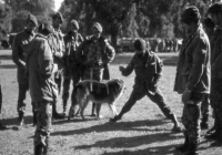 COE-21-TABLA-DE-COMBATE-EXHIBICIONES-58