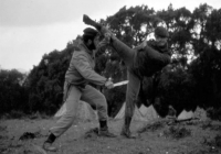 COE-21-TABLA-DE-COMBATE-EXHIBICIONES-59