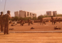 COE-21-TABLA-DE-COMBATE-EXHIBICIONES-62