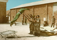 COE-21-TABLA-DE-COMBATE-EXHIBICIONES-72