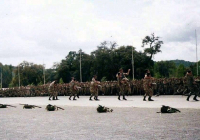 COE-21-TABLA-DE-COMBATE-EXHIBICIONES-76