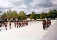 COE-21-TABLA-DE-COMBATE-EXHIBICIONES-78