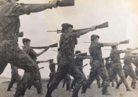 COE-21-TABLA-DE-COMBATE-EXHIBICIONES-80