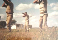 COE-21-TABLA-DE-COMBATE-EXHIBICIONES-89