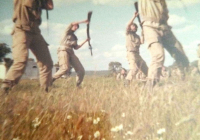 COE-21-TABLA-DE-COMBATE-EXHIBICIONES-92