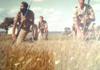 COE-21-TABLA-DE-COMBATE-EXHIBICIONES-93