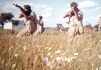 COE-21-TABLA-DE-COMBATE-EXHIBICIONES-94