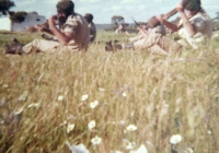 COE-21-TABLA-DE-COMBATE-EXHIBICIONES-98