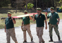 EL-PADUL-COE-21-2025-106