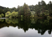 ENCUENTRO-EN-NAVACERRADA-MADRID-2017-20