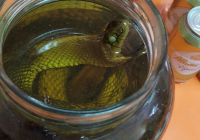 ENCUENTRO-EN-NAVACERRADA-MADRID-2017-25