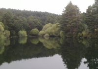 ENCUENTRO-EN-NAVACERRADA-MADRID-2017-55