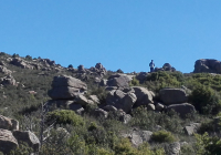 ENCUENTRO-EN-NAVACERRADA-MADRID-2017-6