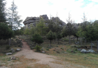 ENCUENTRO-EN-NAVACERRADA-MADRID-2017-76