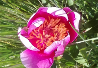 ENCUENTRO-EN-NAVACERRADA-MADRID-2017-85