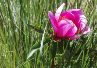 ENCUENTRO-EN-NAVACERRADA-MADRID-2017-87