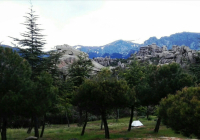 ENCUENTRO-EN-NAVACERRADA-2018-16