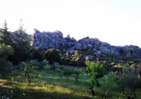 ENCUENTRO-EN-NAVACERRADA-2018-3