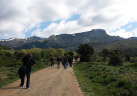 ENCUENTRO-EN-NAVACERRADA-2018-55