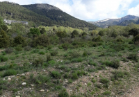 ENCUENTRO-EN-NAVACERRADA-2018-58