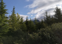 ENCUENTRO-EN-NAVACERRADA-2018-59