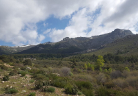 ENCUENTRO-EN-NAVACERRADA-2018-69