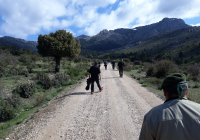 ENCUENTRO-EN-NAVACERRADA-2018-73