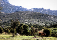 EXCURSION-NAVACERRADA-2024-107