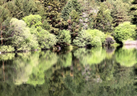 EXCURSION-NAVACERRADA-2024-108