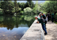 EXCURSION-NAVACERRADA-2024-113