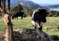 EXCURSION-NAVACERRADA-2024-115