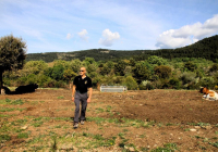 EXCURSION-NAVACERRADA-2024-117