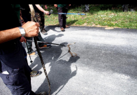 EXCURSION-NAVACERRADA-2024-122