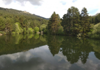 EXCURSION-NAVACERRADA-2024-29