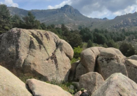 EXCURSION-NAVACERRADA-2024-34