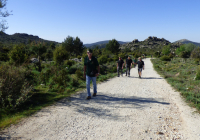 EXCURSION-NAVACERRADA-2024-45