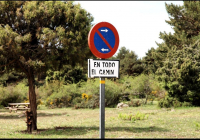 EXCURSION-NAVACERRADA-2024-51