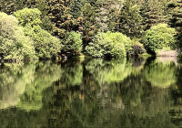 EXCURSION-NAVACERRADA-2024-54