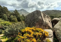 EXCURSION-NAVACERRADA-2024-56