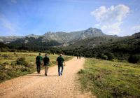 EXCURSION-NAVACERRADA-2024-71