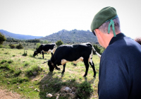 EXCURSION-NAVACERRADA-2024-72