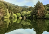 EXCURSION-NAVACERRADA-2024-73