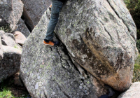 EXCURSION-NAVACERRADA-2024-84