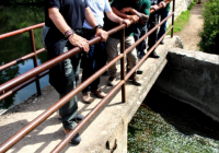 EXCURSION-NAVACERRADA-2024-85