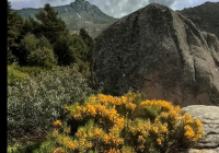 EXCURSION-NAVACERRADA-2024-86