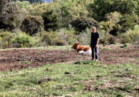 EXCURSION-NAVACERRADA-2024-87